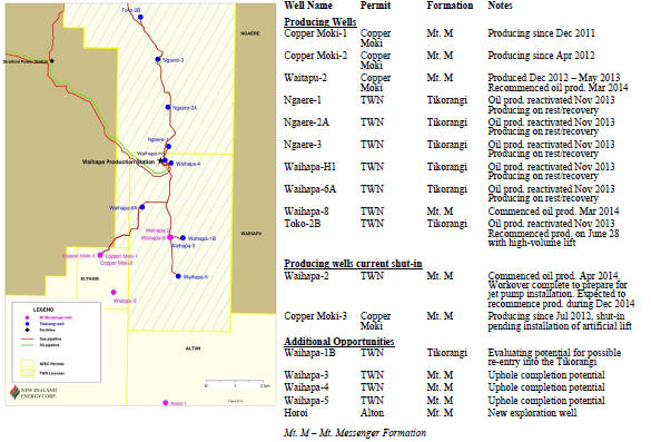 If you cannot view the image above or would like to view an enhanced version of NZEC's Production & Development Wells, please visit:  http://orders.newsfilecorp.com/files/2648/12362_nz.htm4.jpg
